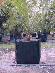 Planter bags Irrigation fluming Tree guard Air Duct